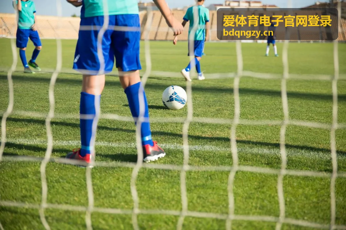 爱体育电子官网登录相关内容配图